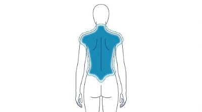 Diagram for Full back