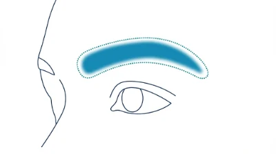 Diagram for Eyebrows