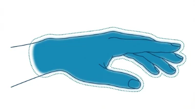 Diagram for Hands and fingers