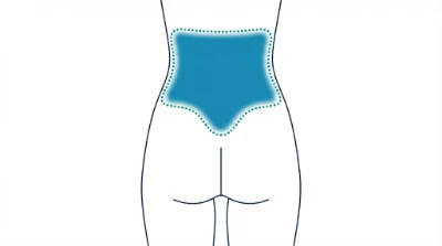 Diagram for Lower back
