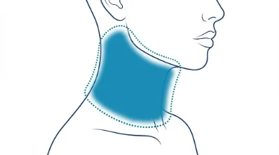 Diagram for Neck