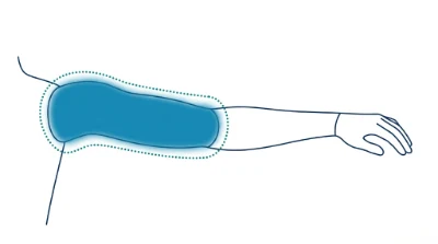 Diagram for Upper arms