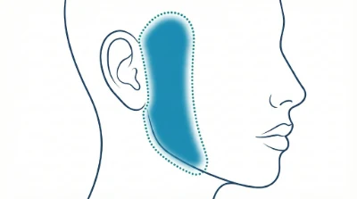 Diagram for Sideburns