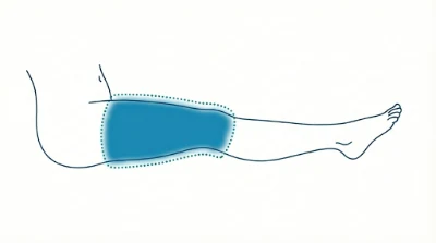 Diagram for Thighs